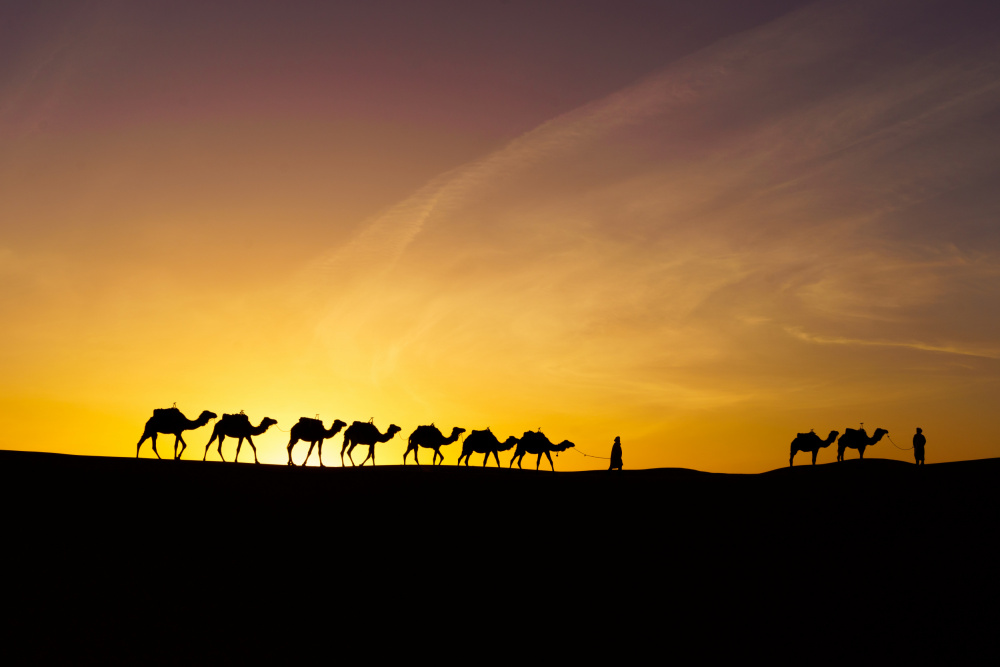 Sunrise silhouette of camels and handler, Merzouga à Ran Dembo