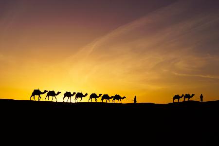 Sunrise silhouette of camels and handler, Merzouga