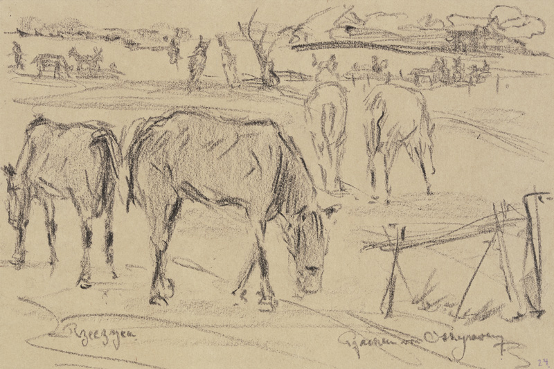 Weidende Pferde in Rzeczyca, Russisch-Polen à Reinhard Pfaehler von Othegraven