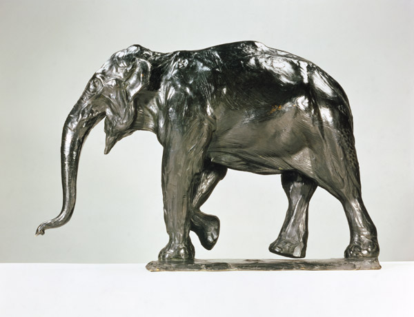 White Elephant (bronze) à Rembrandt Bugatti