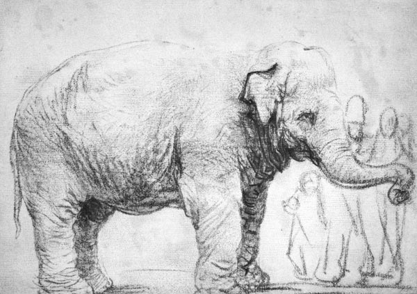 Ein Elefant à Rembrandt Harmenszoon van Rijn