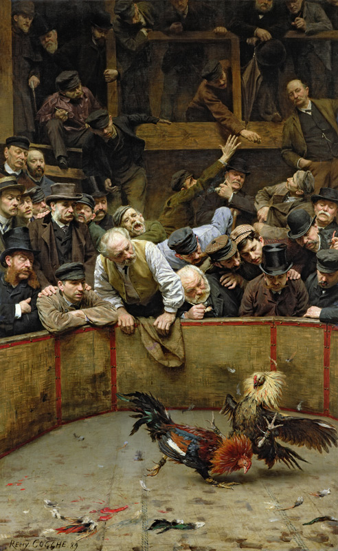 The Cockfight, 1889 (oil on canvas) à Rémy Cogghe