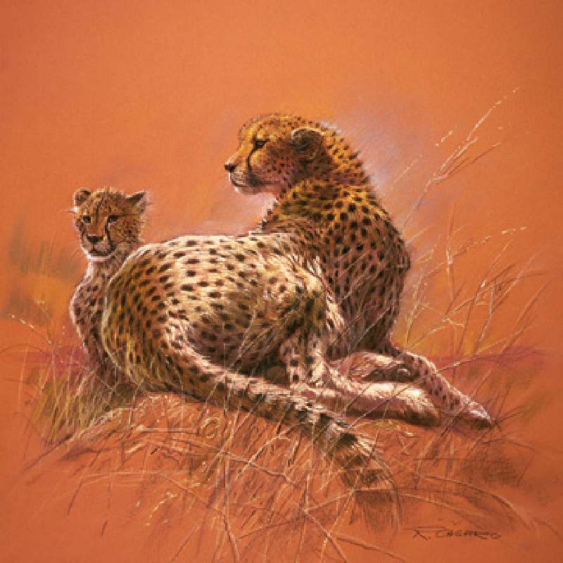 Cheetah Mother à Renato Casaro