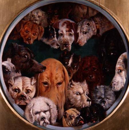 Twenty Dogs à Reuben Bussey