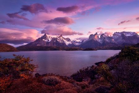 Autumn in Lago Pehoe