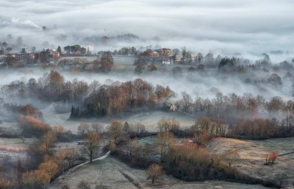 misty fields à Riccardo Lucidi