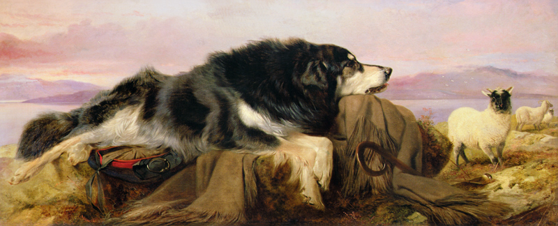 The Shepherd's Dog à Richard Ansdell