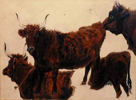 Studies of Highland Cattle à Richard Ansdell