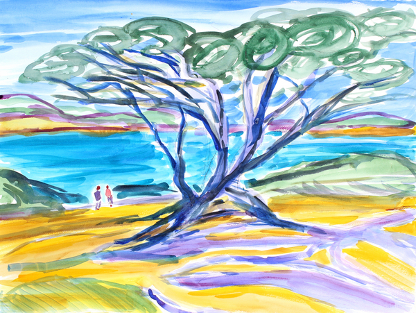 Cypress Tree, Carmel à Richard Fox