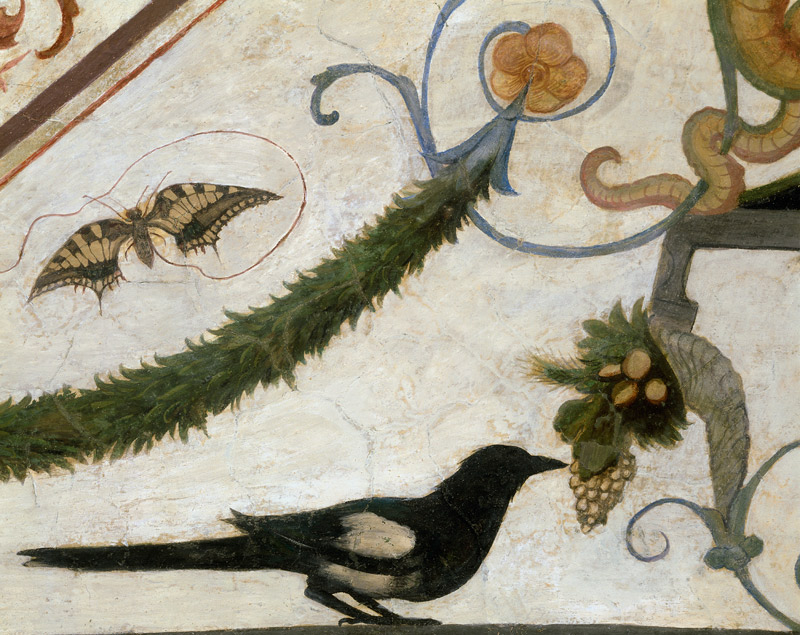 Vogel und Schmetterling à Ridolfo Ghirlandaio