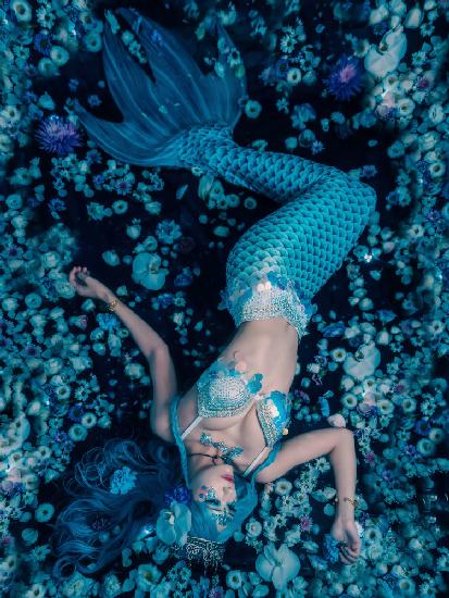 A mermaid dreaming of a starry sky