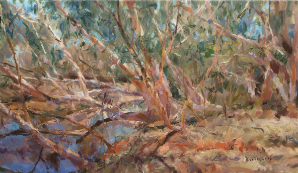 Dead Leaves Living it up in the Pilbara à ROBERT BOOTH CHARLES ROBERT BOOTH CHARLES
