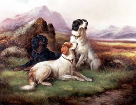 Setters in a Highland Landscape à Robert Cleminson