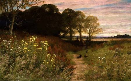 Landscape with Wild Flowers and Rabbits à Robert Collinson