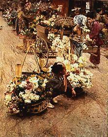 Sur le marché de fleurs à Tokyo