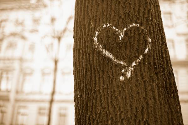 Gezeichnetes Herz auf einem Baumstamm. à Robert Kalb
