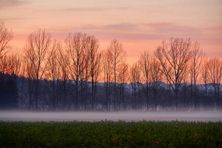 Ackerlandschaft mit Nebelstreifen im Abendrot