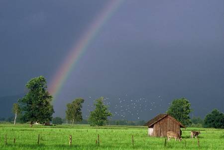 Riedlandschaft mit Regenbogen