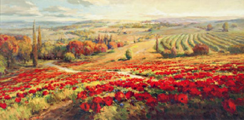 Red Poppy Panorama à Robert Lombardi