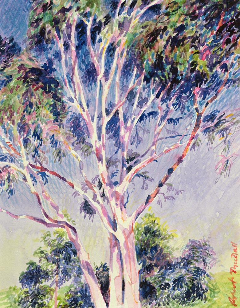 Gum Tree, Australia (w/c)  à Robert  Tyndall