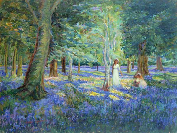 Bluebell Wood, 1908  à Robert  Tyndall