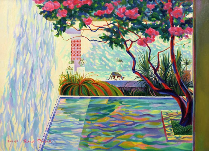 Cat in a Mexican Garden à Robert  Tyndall