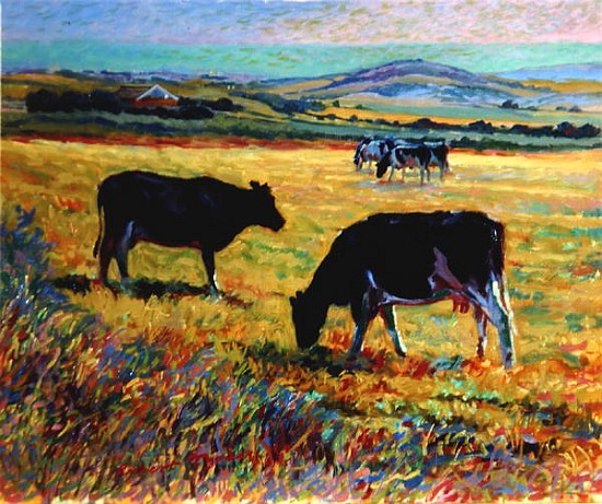 Cows on the Downs Overlooking Brighton  à Robert  Tyndall