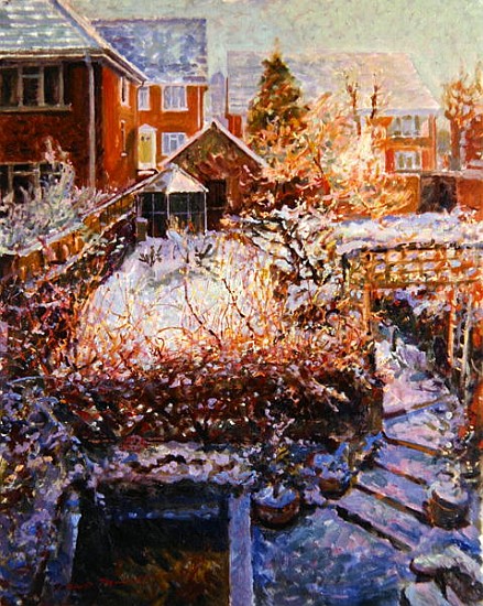 Sussex Garden in Winter  à Robert  Tyndall