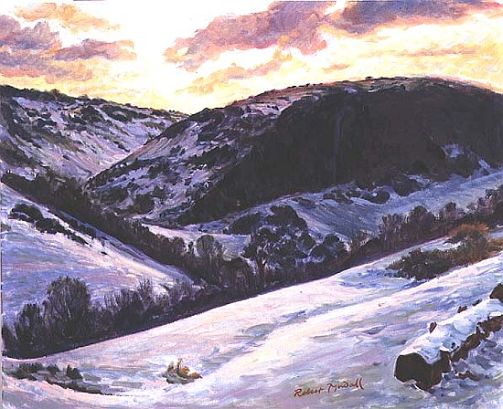 The Devil''s Dyke in Winter, 1996  à Robert  Tyndall