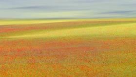 Castelluccio Colors