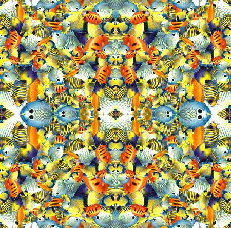 Kaleidoscope Fish Tile