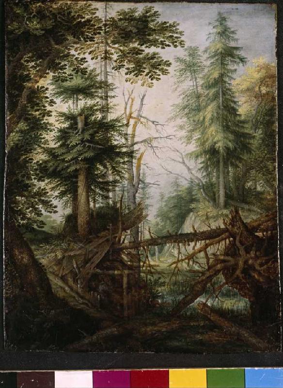 Waldlandschaft mit Eremit à Roelant Jakobsz Savery