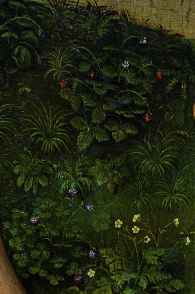 R.v.d. Weyden, Plants and flowers à Rogier van der Weyden