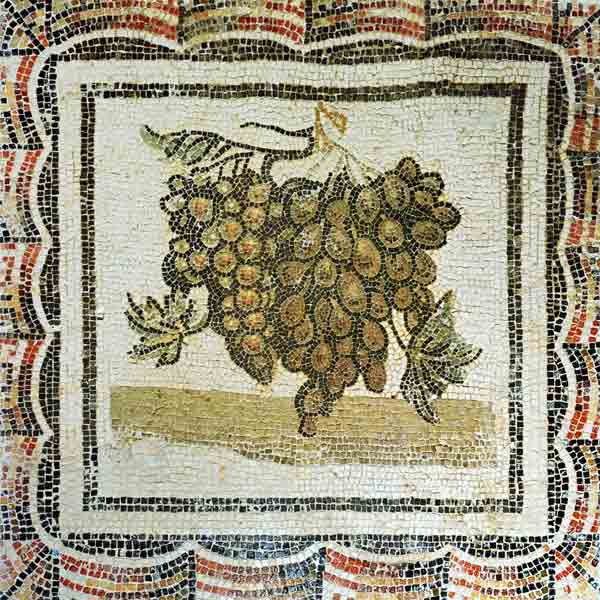 Bunch of white grapes, Roman mosaic (mosaic) à Romain