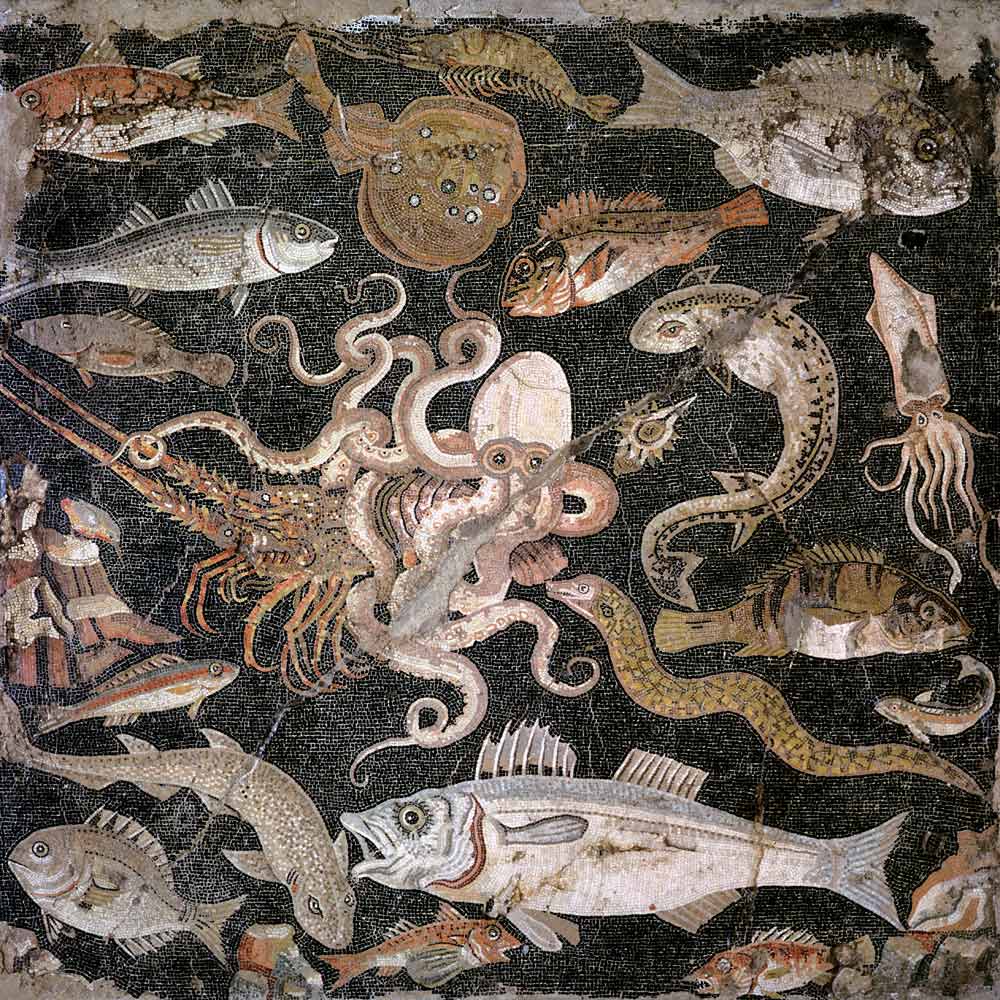 Undersea creatures, copy of a Hellenistic original (mosaic) à Romain