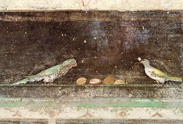 Birds eating nuts, detail from a tablinium decorated with Egyptian-style paintings à Romain