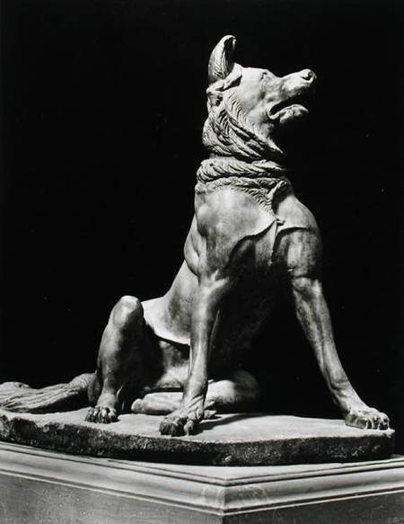 Bull Mastif Dog à Romain