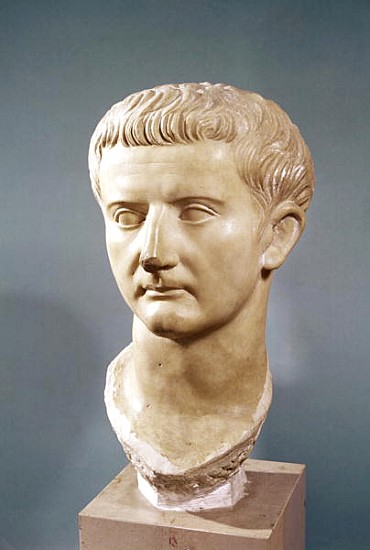 Head of the Emperor Tiberius (42 BC-37 AD) (marble) à Romain