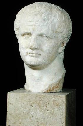 Head of Titus (39-81)