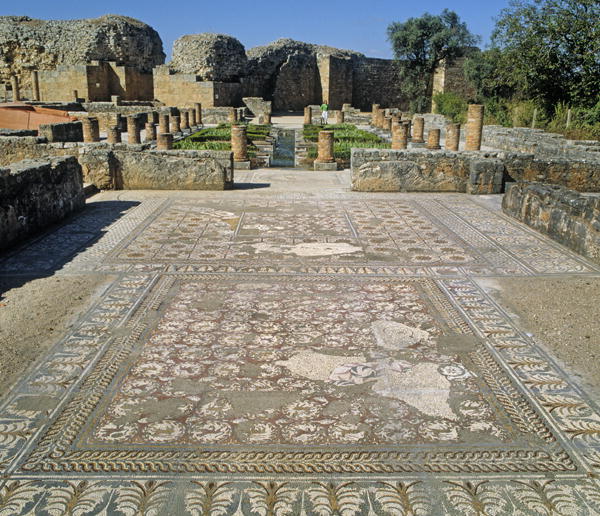 View of the ruins and a mosaic floor (photo)  à Romain