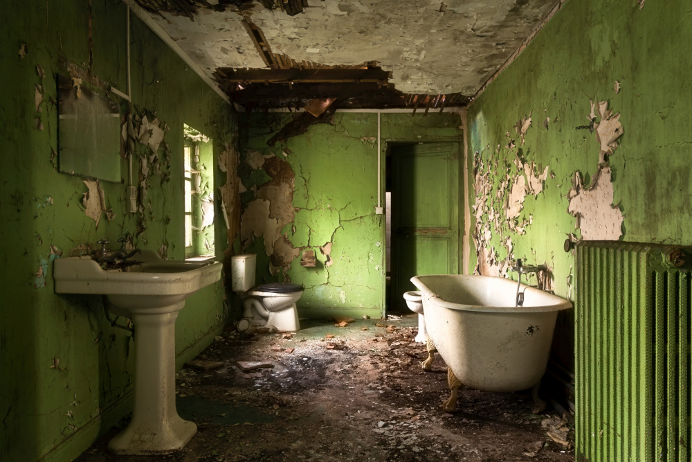Green Bathroom à Roman Robroek