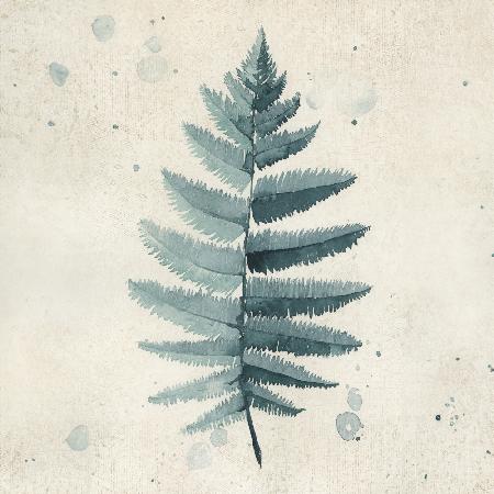 Teal watercolor fern 6