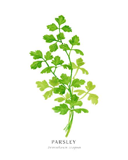 Parsley I