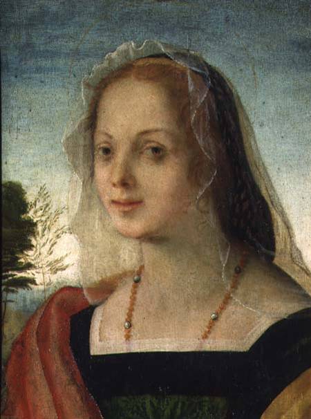 Portrait of a Young Girl à Rosso Fiorentino