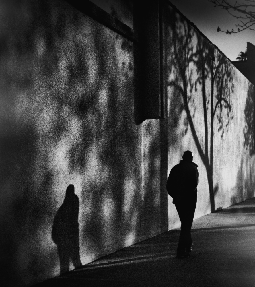 Shadows on Montana Avenue à Roxana Labagnara