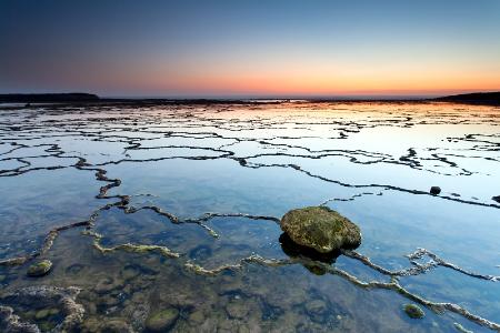 the stone net