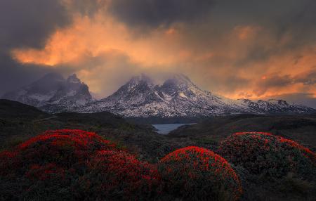 Fire Balls of Torres del Paine