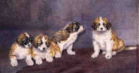 Puppies in Council à Rupert Arthur Dent
