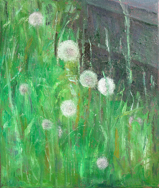 Dandelion Clocks in Grass à Ruth  Addinall