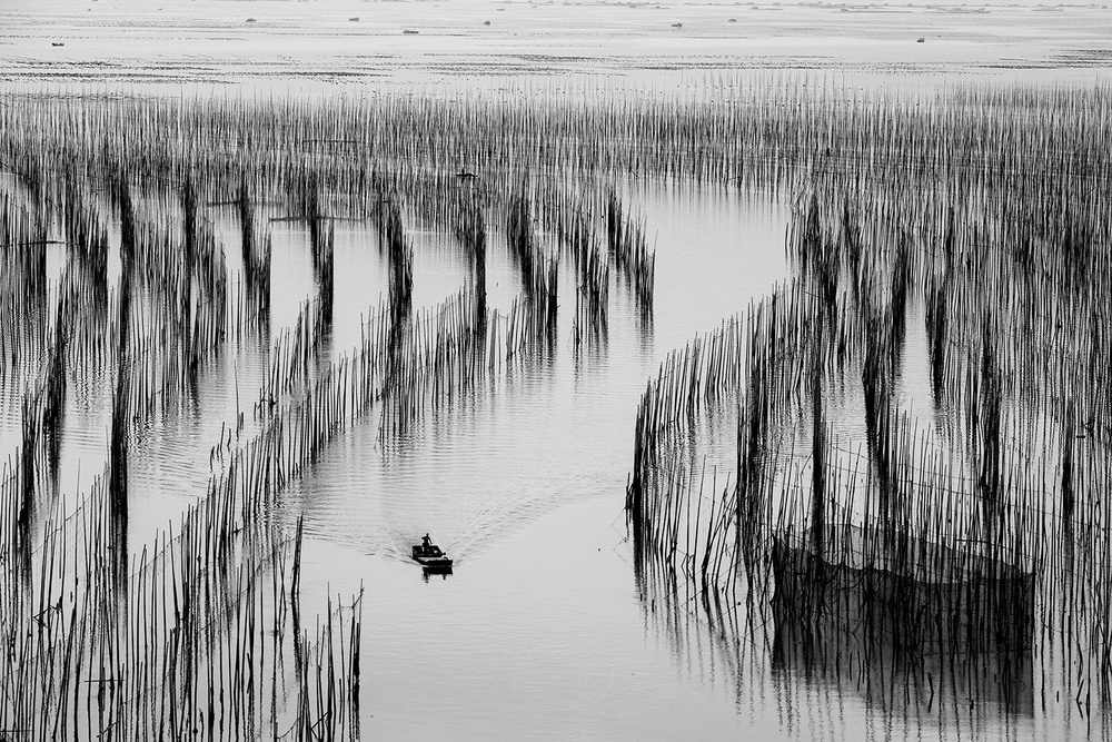 Return Home à Ryu Shin Woo